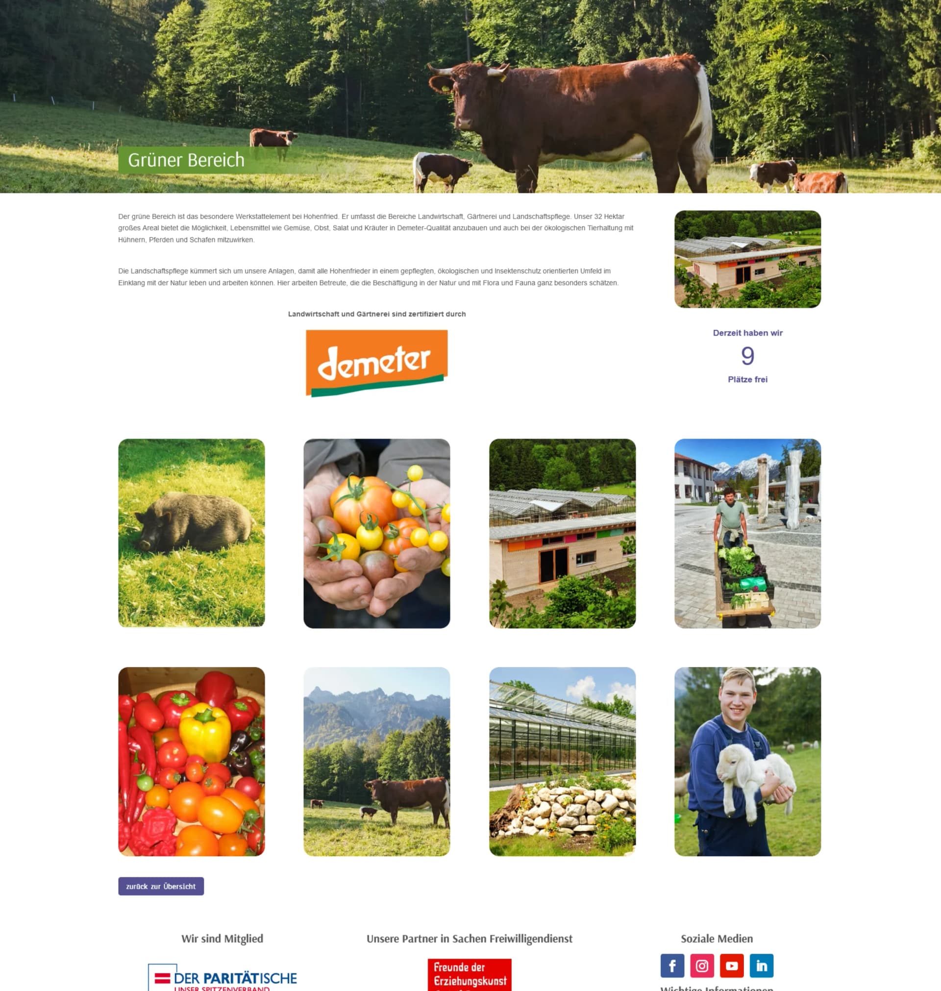 Barrierefreiheit Features